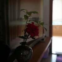 hi甜蜜