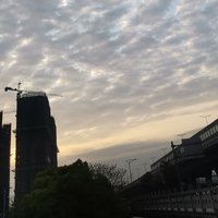 啾啾啾栖鸟