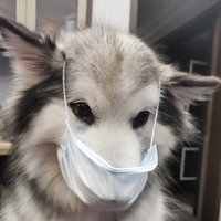 忽如远行客福来