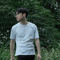会拍照的考拉