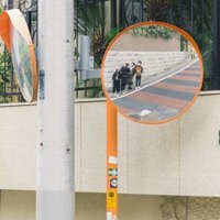 岛国咸鱼