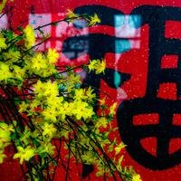 武平摄影