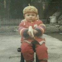 杜怿i