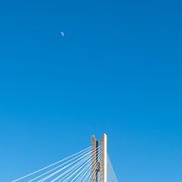 L的厦天