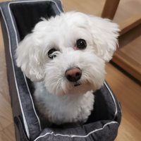 梓妘
