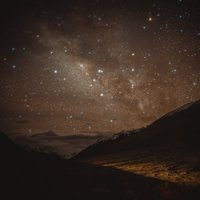星野眞理