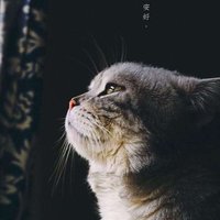 晴天天天天