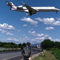 鹿鸣鹤声一中国北京