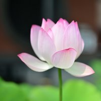 微糖摄影