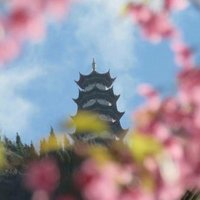 爱好远方