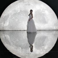 图虫的小小虫