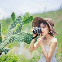 开坦克滴贝塔