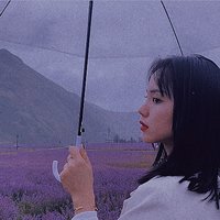 岁月如歌yts