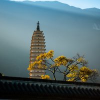 素衣卿相