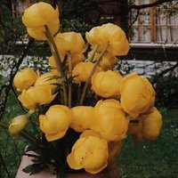 回不过去的过去s