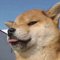 PT韩韩