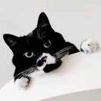 田晓刚