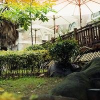 木头木脑