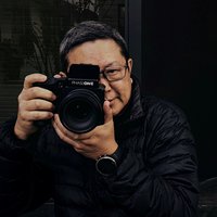 牦牛yak