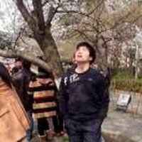 武汉野人