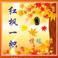 红枫一帜575