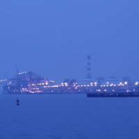 风吹鱼散