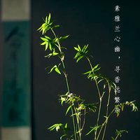 摄影师164550022412122
