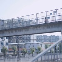 阿菲正选