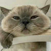 肳埠