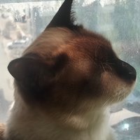 寄了