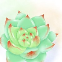 空白8