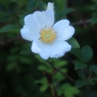 摄影师高建