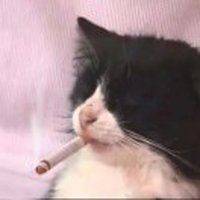 漂飘缥的尘