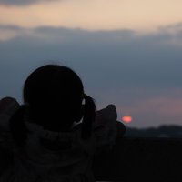 虹二回来了