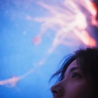 梵木mu