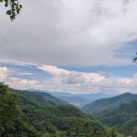 福来运旺