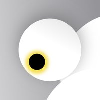 白叶新