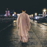 白菜叶儿二代