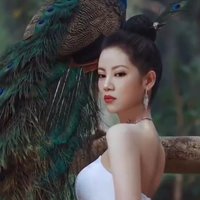 摄影师166393918936508