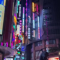 土壤下的灵魂