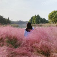 夏泽