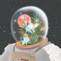 叶芒忙不忙