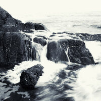 屠颖
