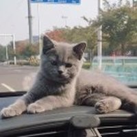 -行云流水
