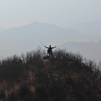 秦yolo