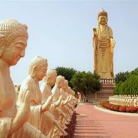 火龙168