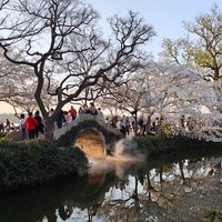 斐漾