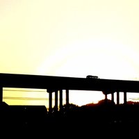 谢宏245