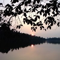今夕是何夕