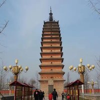 刚子老师